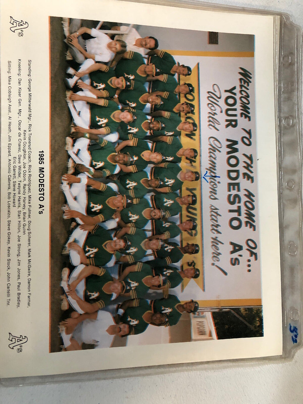 Authentic Vintage 1985 Modesto A's World Championship Team Photo Oakland As0