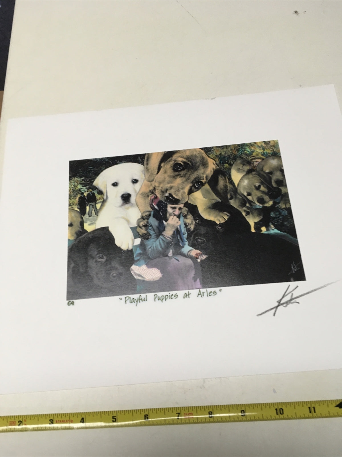 1991 Artist BARRY KITE Signed Print “Playful Puppies At Aries” Pop Art, 14”x11”10