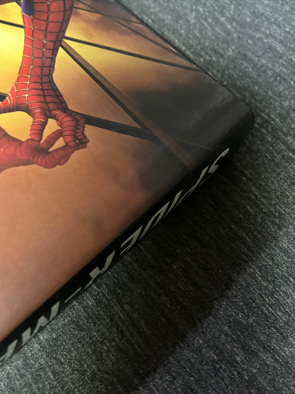 Spider-Man the Icon: The Life and Times of a Pop Culture Phenomenon (2007)10