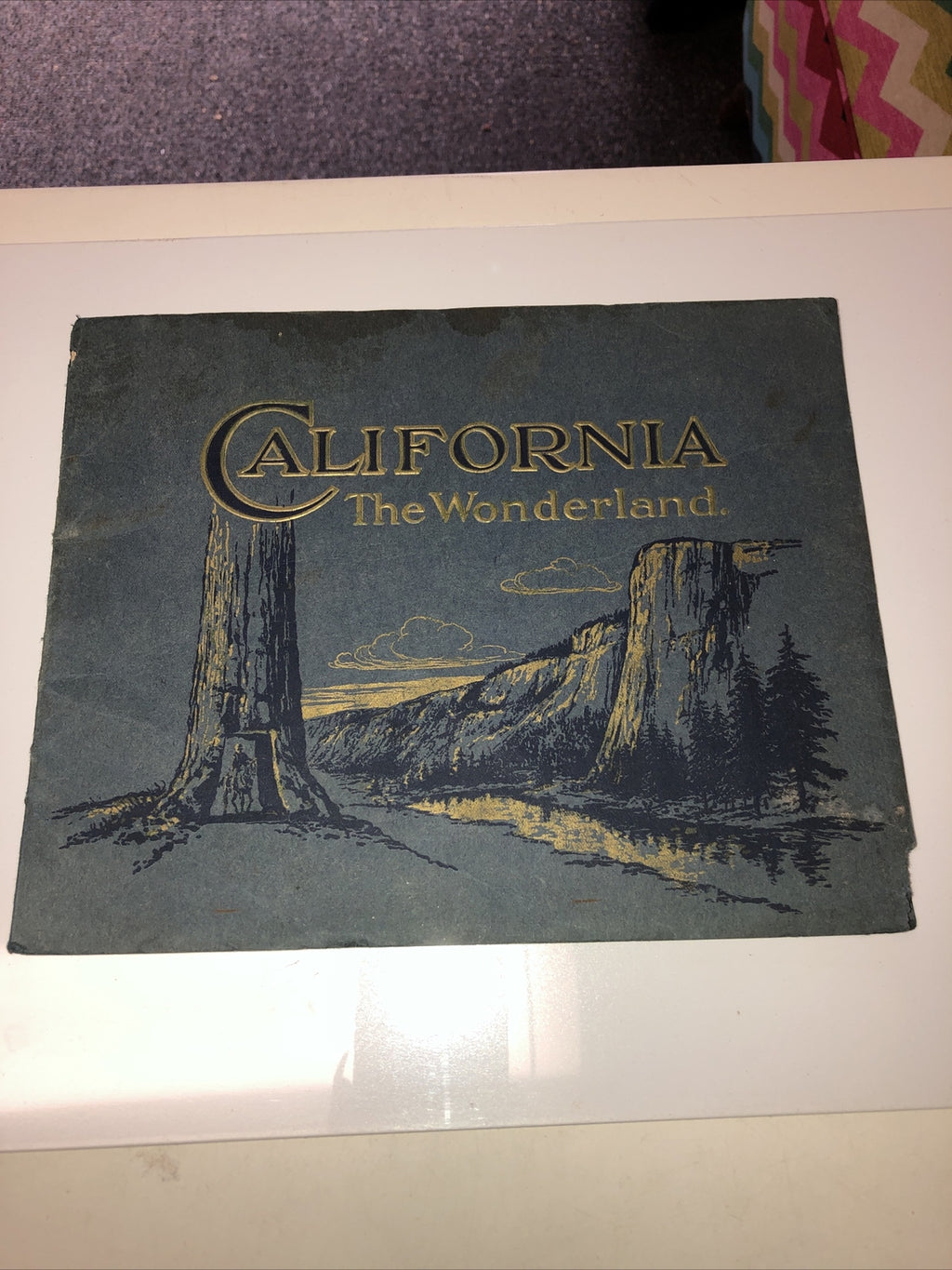 VINTAGE- California -The Wonderland- The Golden State3