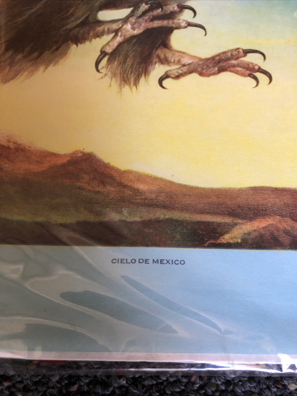 Cielo De Mexico Poster 21”X16”1