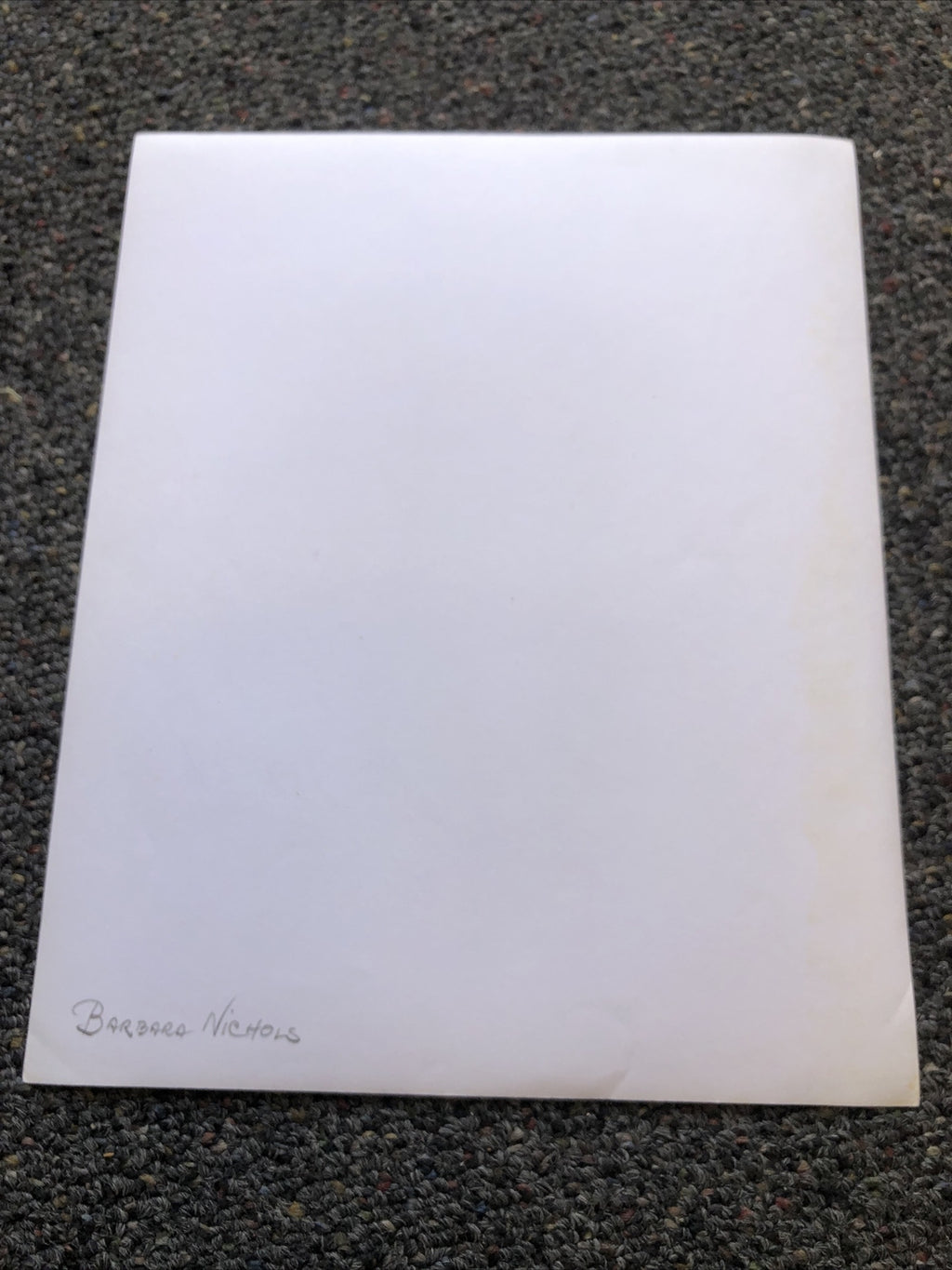 Original Unpublished Photo Of Actress Barbara Nichols Photograph Rare 10”x8”5