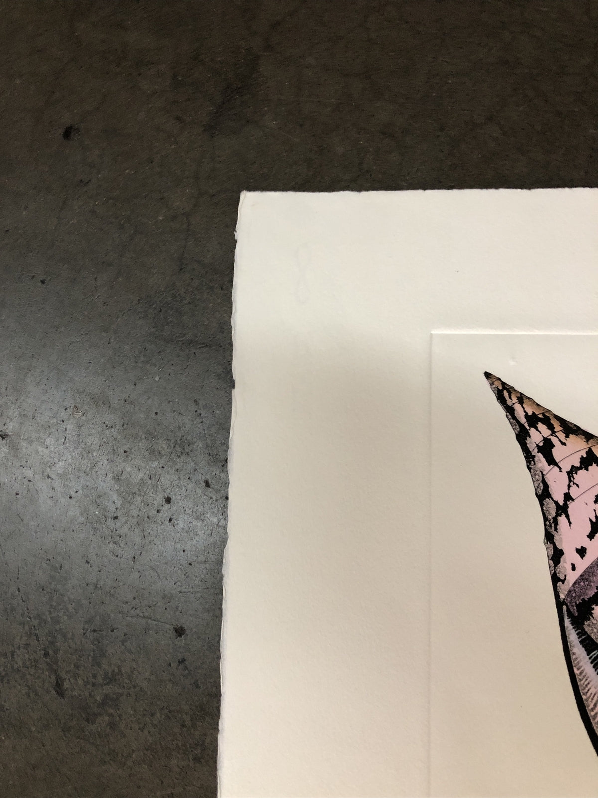 Dan Mitra Signed Etching “Nautilus” 36”x13”7