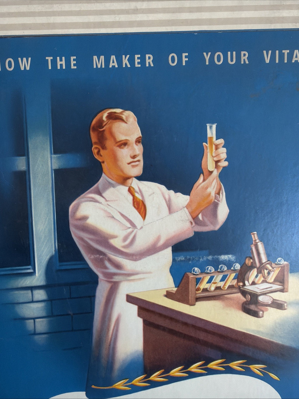 Rare Vintage 1940s Parke-Davis Vitamins General Store Cardboard Display Sign2