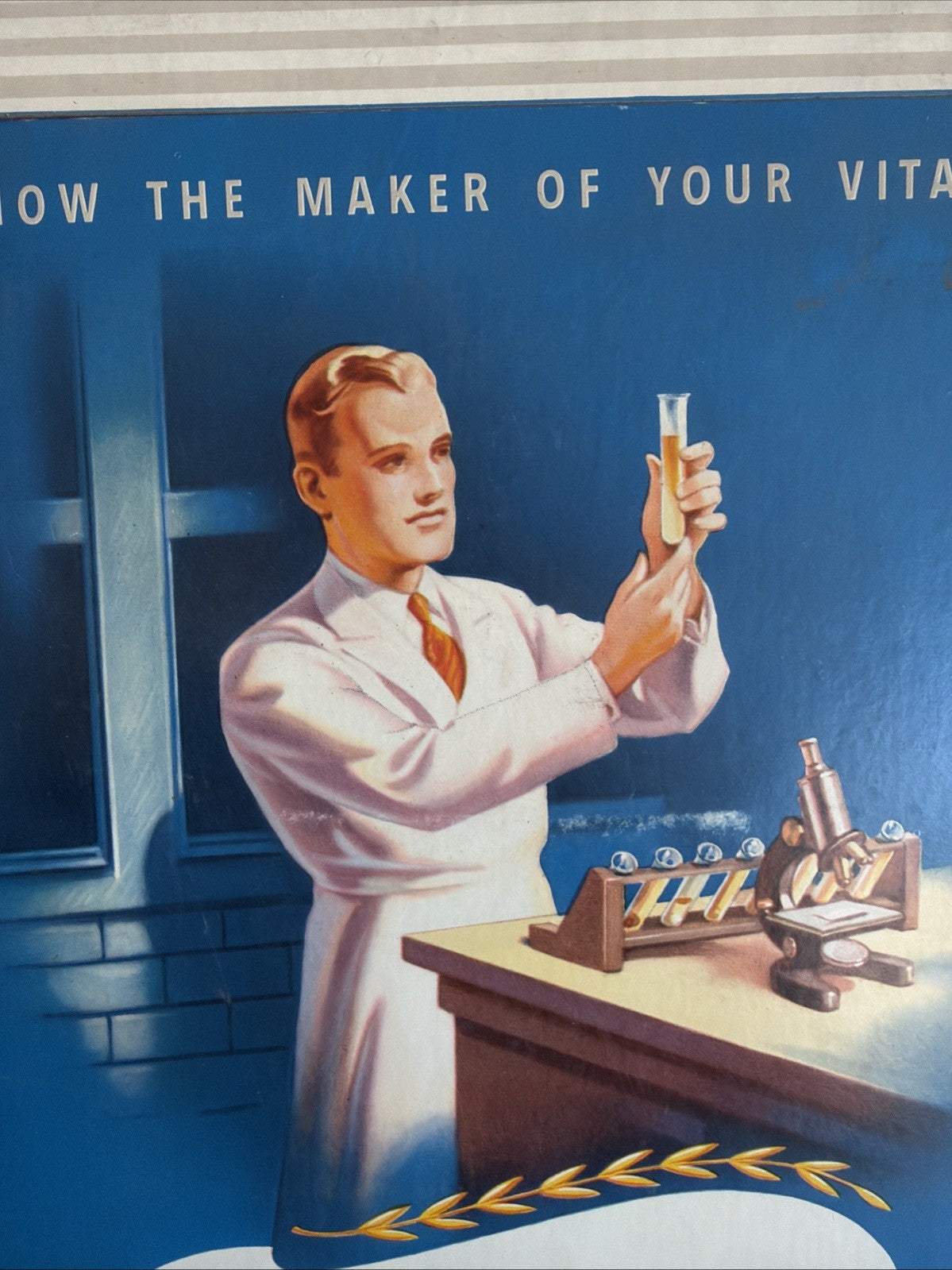 Rare Vintage 1940s Parke-Davis Vitamins General Store Cardboard Display Sign2