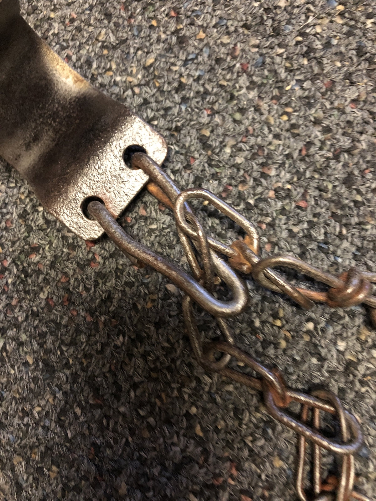 Antique Cow Hobbles Kickers Iron Chains Early 1900's3