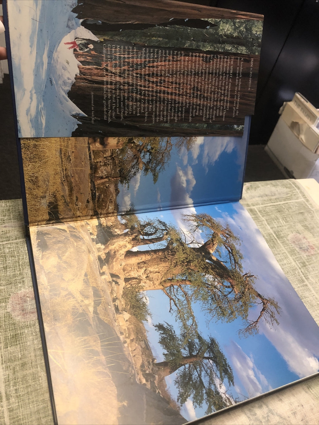 Remarkable Trees of the World by Thomas Pakenham (2002, Hardcover)2