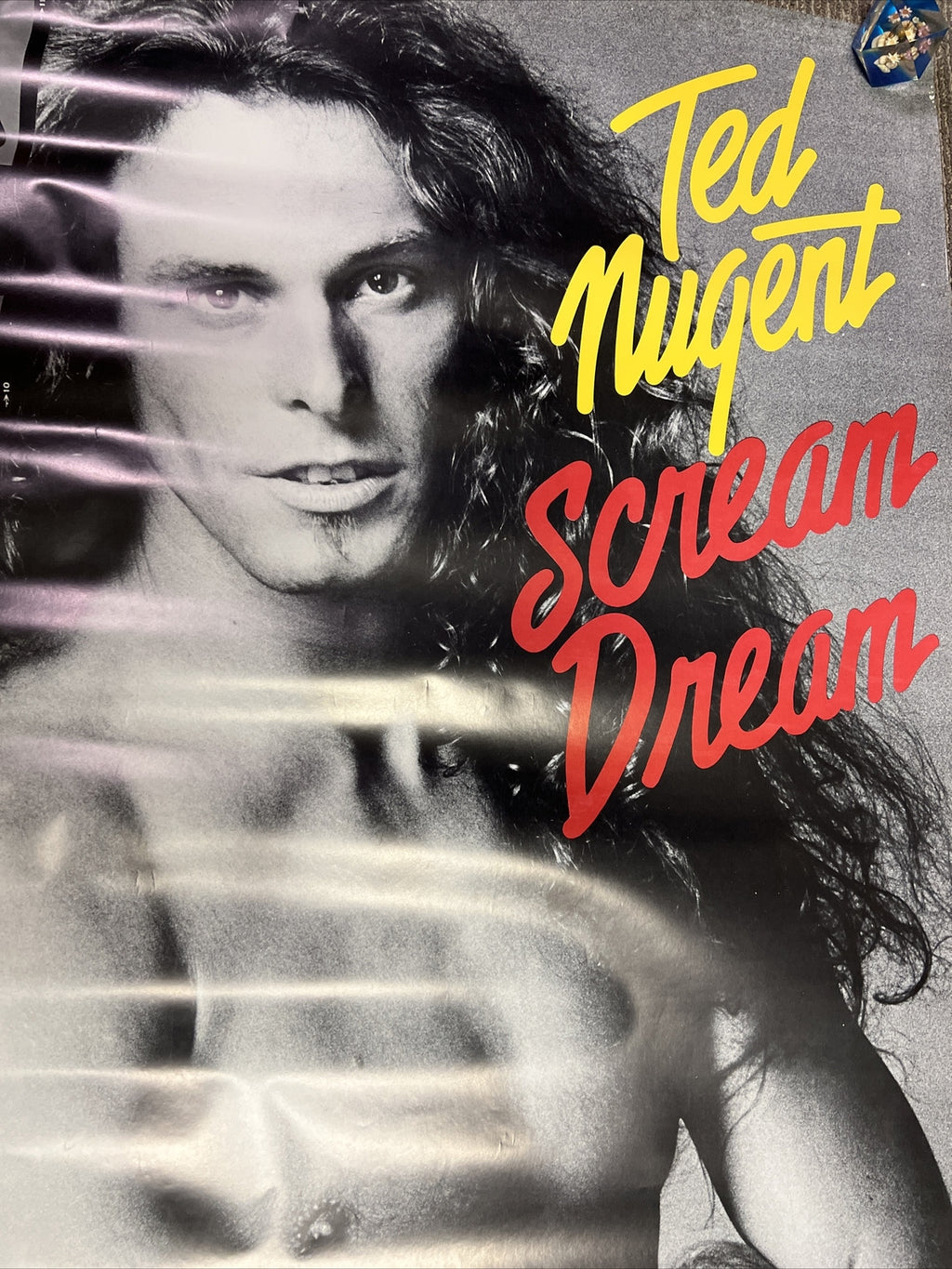 Ted Nugent Original 1980 PROMO Poster Scream Dream Epic 33”x48” CBS Promo #292