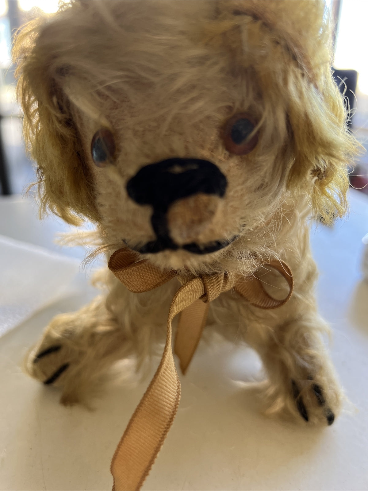 6” Antique 1920’s Shaggy Dog Possibly Real Hair?1