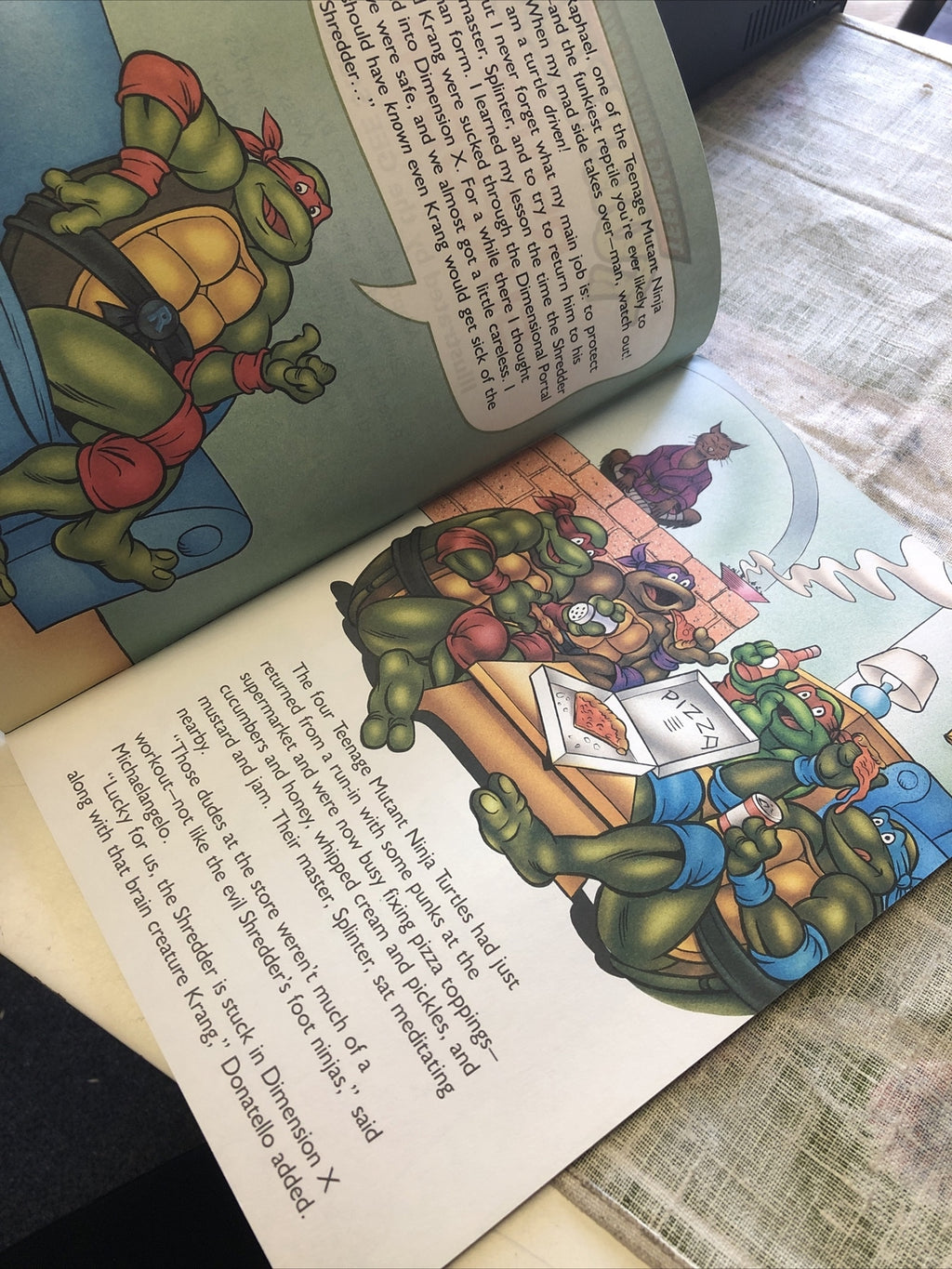1990 Teenage Mutant Ninja Turtles Return Of The Shredder Storybook Adventure3