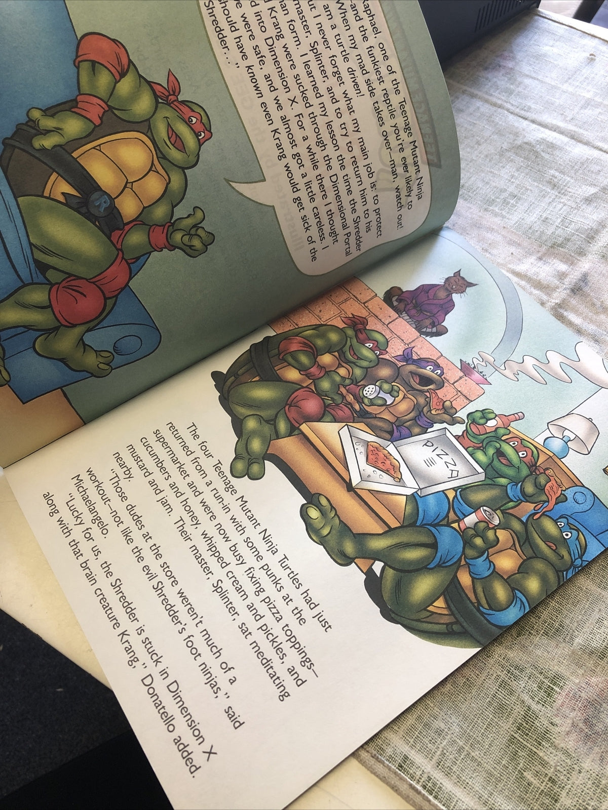 1990 Teenage Mutant Ninja Turtles Return Of The Shredder Storybook Adventure3