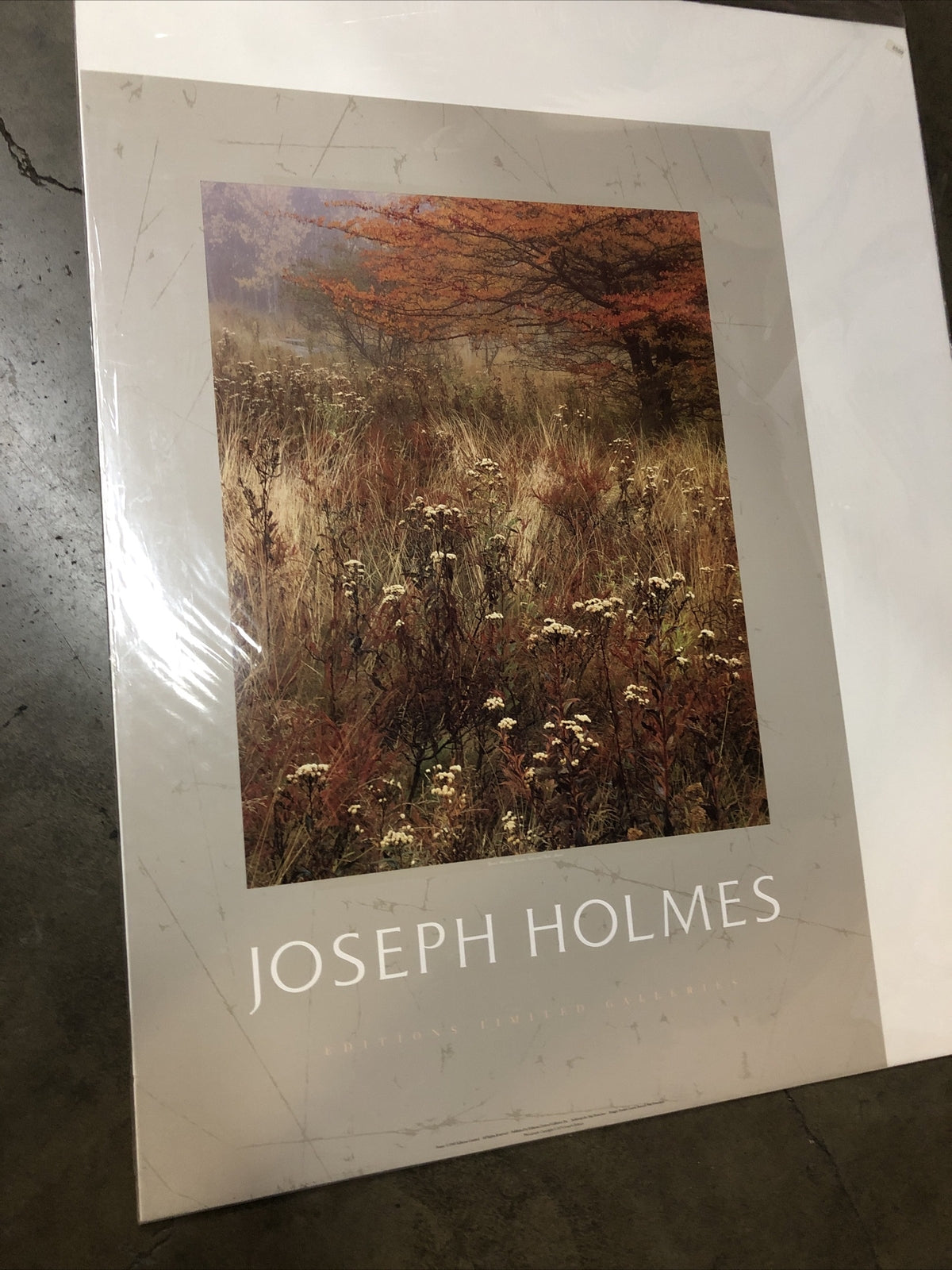 Joseph Holmes 1985 Editions Limited Galleries Poster 35”x25” (Great Meadow)0
