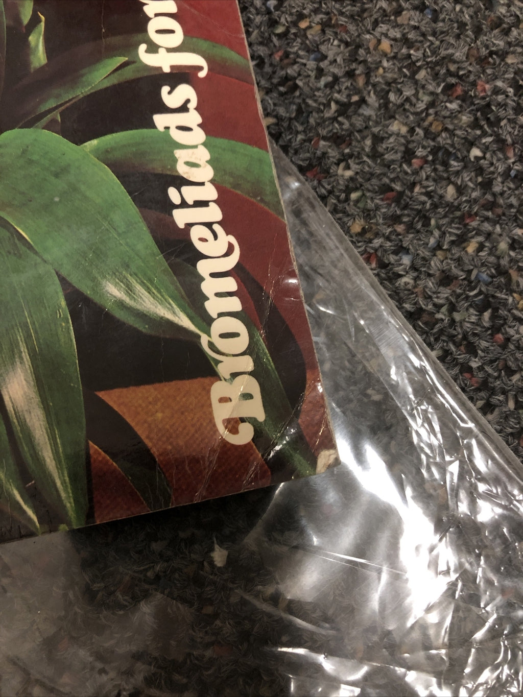 BROMELIADS FOR MODERN LIVING By Louis Wilson 80s House Plants For The Home6