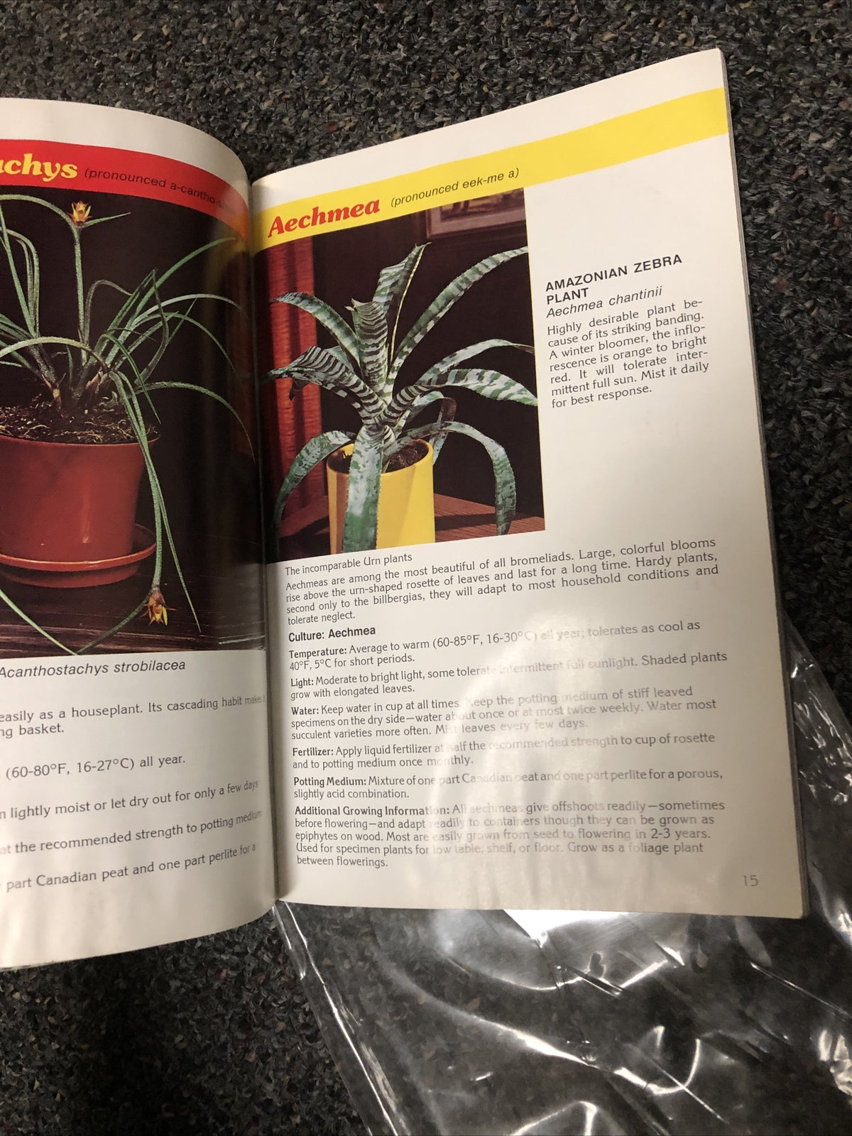 BROMELIADS FOR MODERN LIVING By Louis Wilson 80s House Plants For The Home5