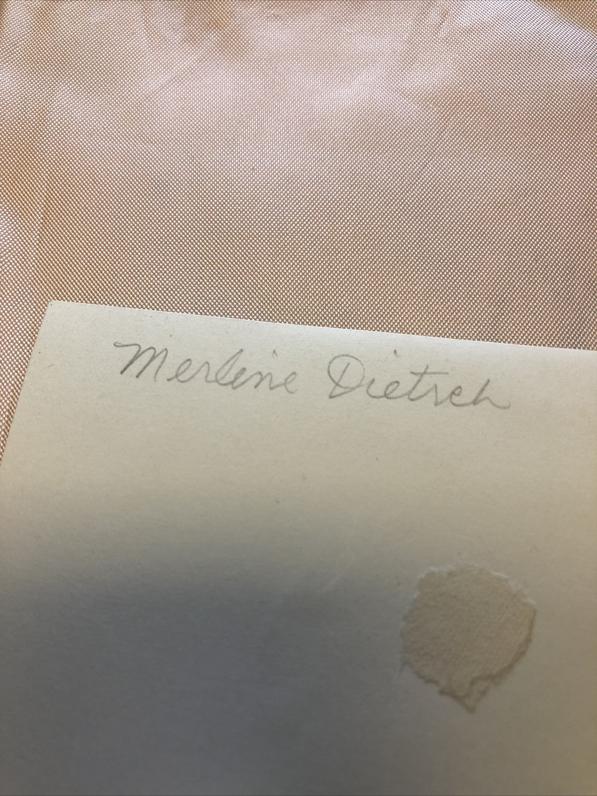 RARE Original Photo Of Marlene Dietrich Glamour Shot 6.5”x3”3