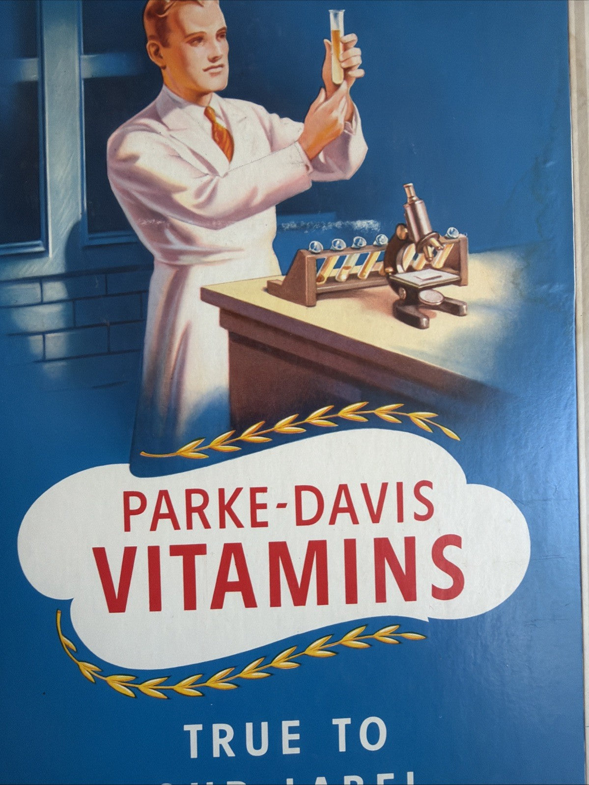 Rare Vintage 1940s Parke-Davis Vitamins General Store Cardboard Display Sign3