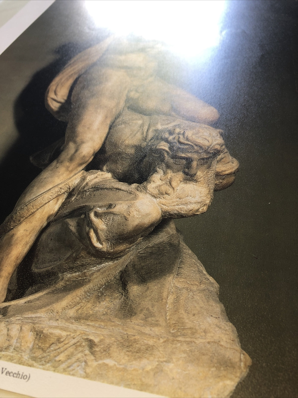 Michelangelo II Genio Della Vittoria Art Print 16.5”x13.5”2