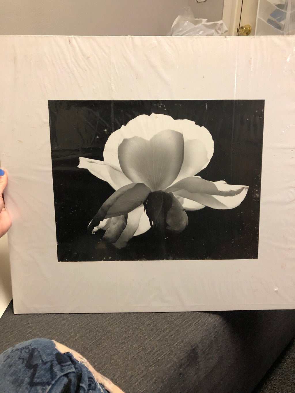 Art Photography Flower Unknown Black & White Intriguing & Dramatic 18X200