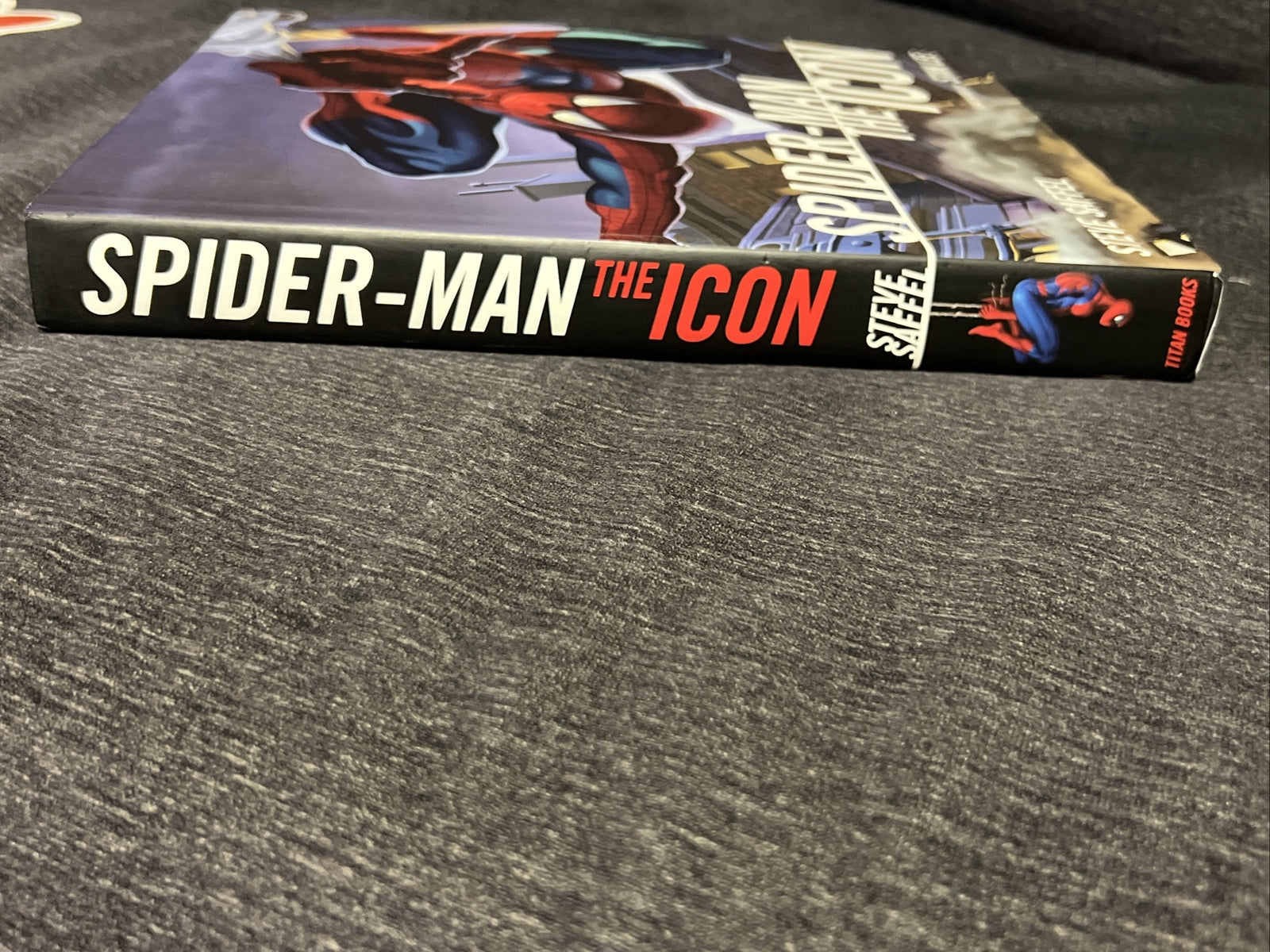 Spider-Man the Icon: The Life and Times of a Pop Culture Phenomenon (2007)11