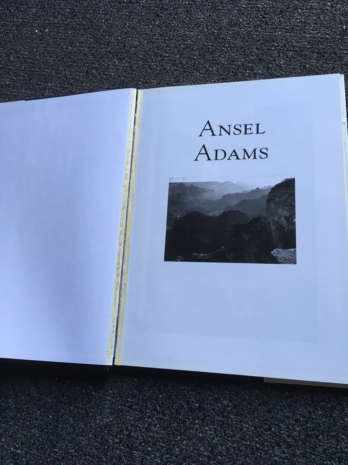 Ansel Adams 80+ Black-White Art Photographs Hardcover Book Barry Pritzker 20043