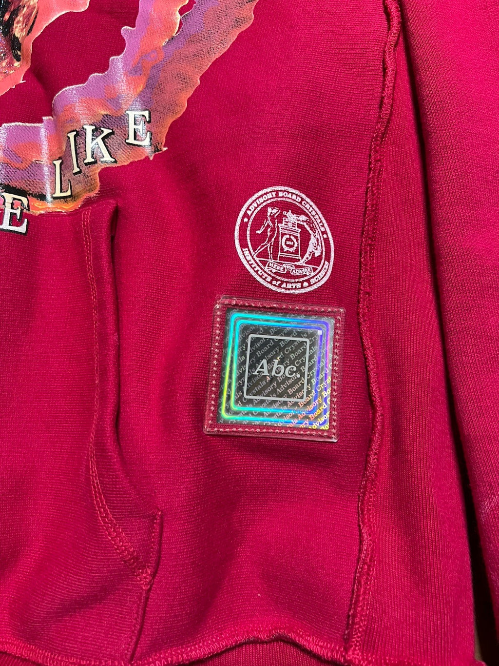 RARE ABC Advisory Board Crystals Hoodie XXL Red Graphic “What It Would Be Like”1