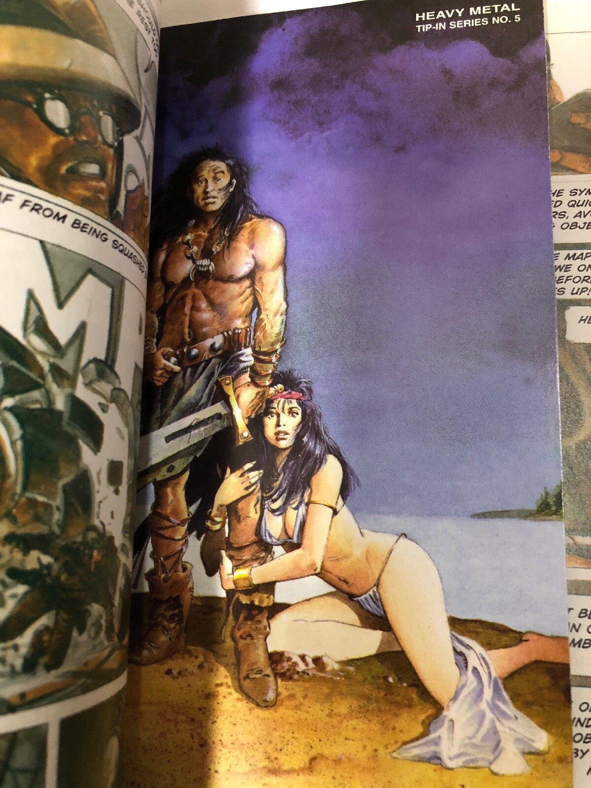 Heavy Metal Magazine May 2002  Adult Illstd Fantasy Stan & Vince - Simone Bisley2