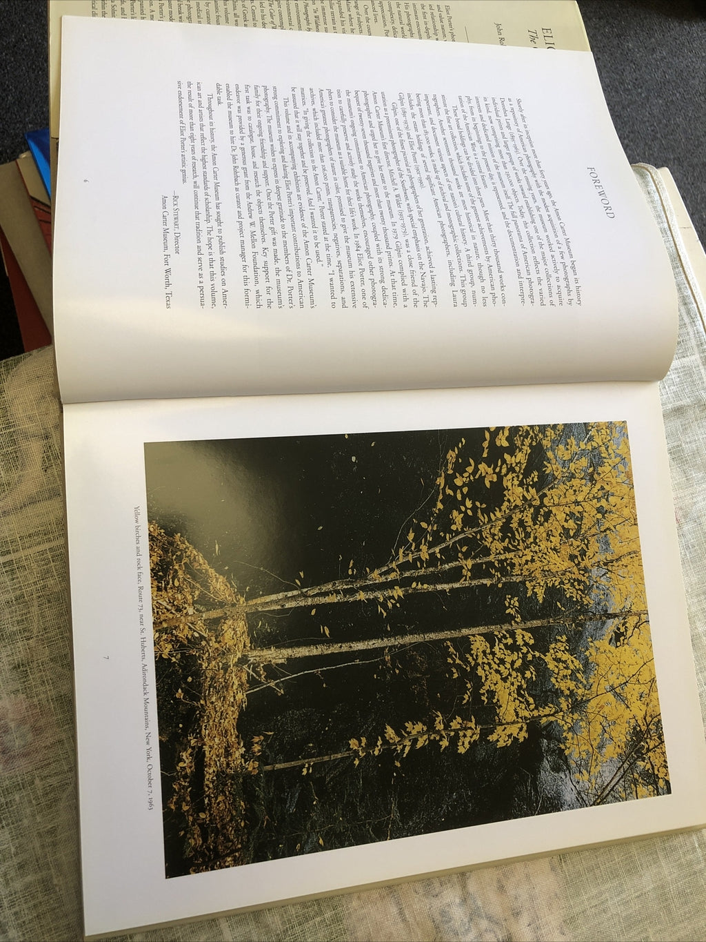 Eliot Porter : The Color of Wildness by Rebecca Solnit; John Rohrbach4