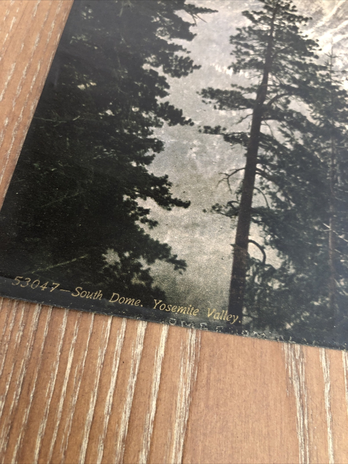 SUPERB 1898 Original Photo Lot Of 2 South  Dome El Capitan YOSEMITE 7” x 9”4
