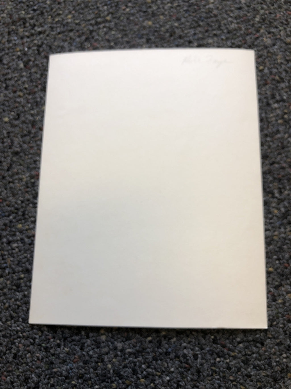 Rare Original Unpublished Photo Of ALICE FAYE Photograph Glamour Shot 8”x6”7