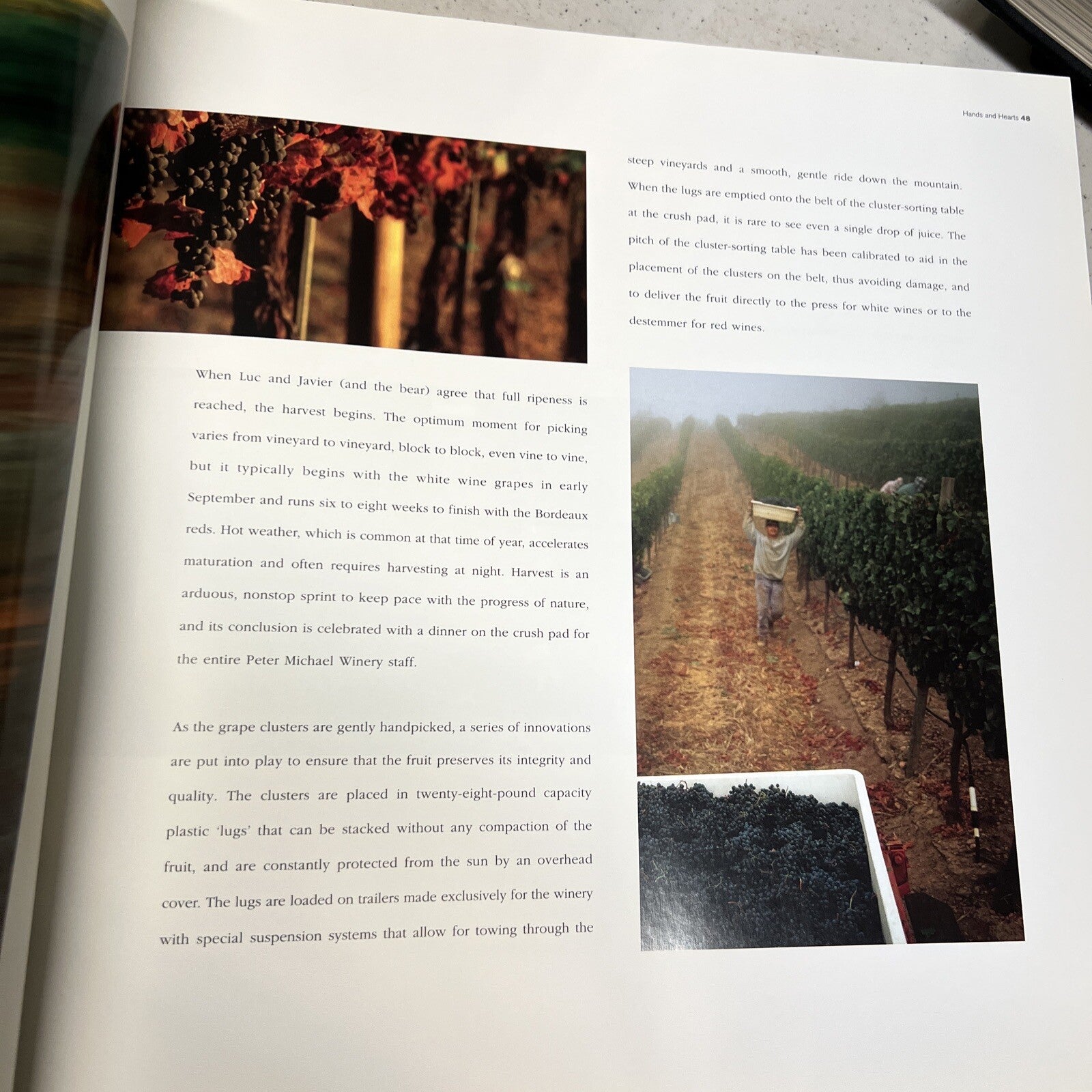 Hands and Hearts Cookbook presented by Peter Michael Winery-Coffee Table Book10