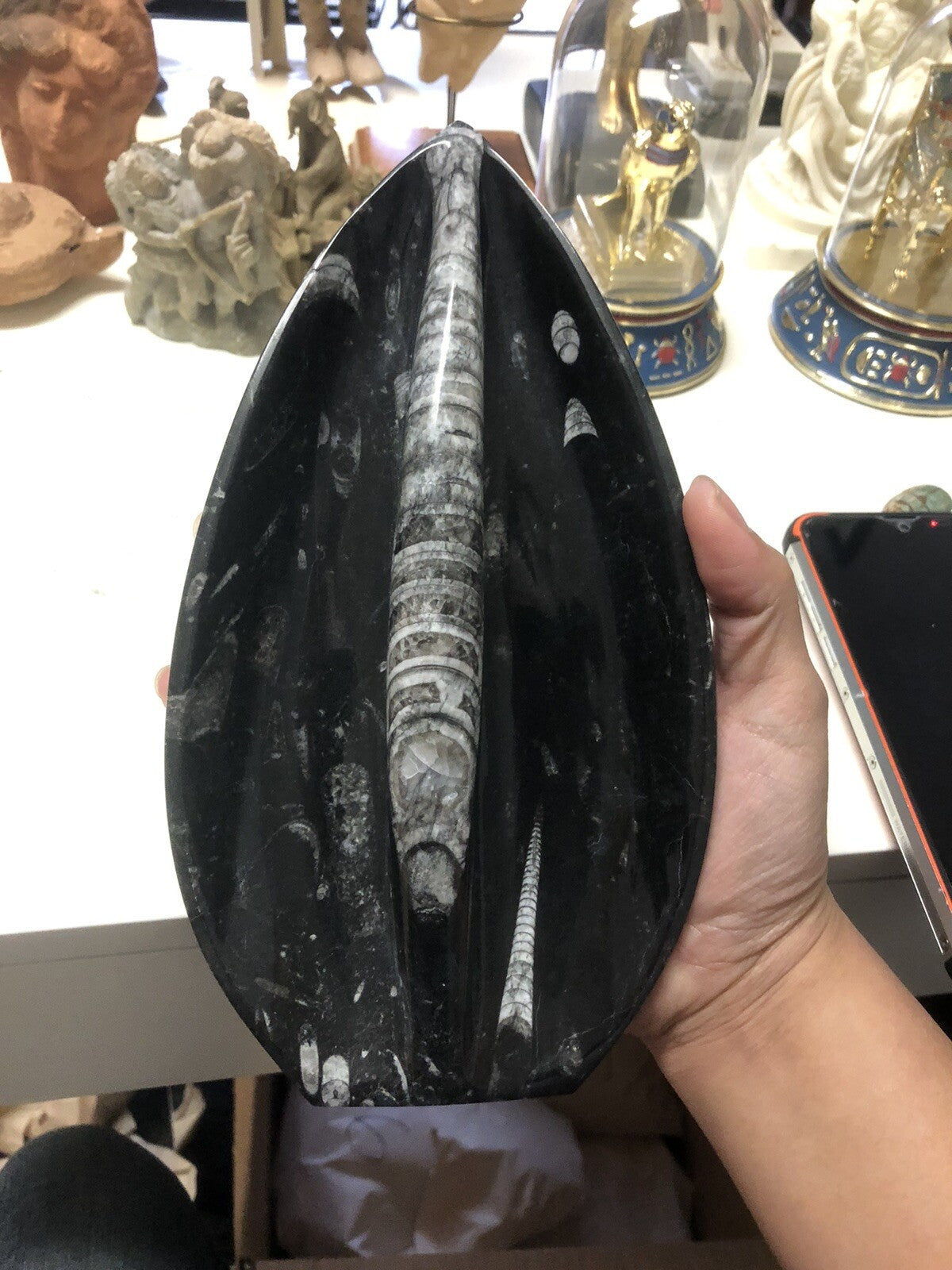 Natural Orthoceras Fossils Leaf Shape Stone Decoration1