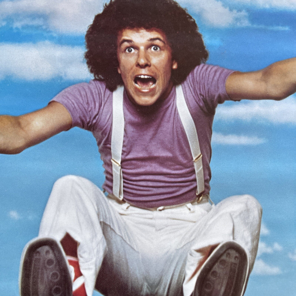 #170 1976 Leo Sayer Endless Flight Record Store Promo Poster 24” X 24”6