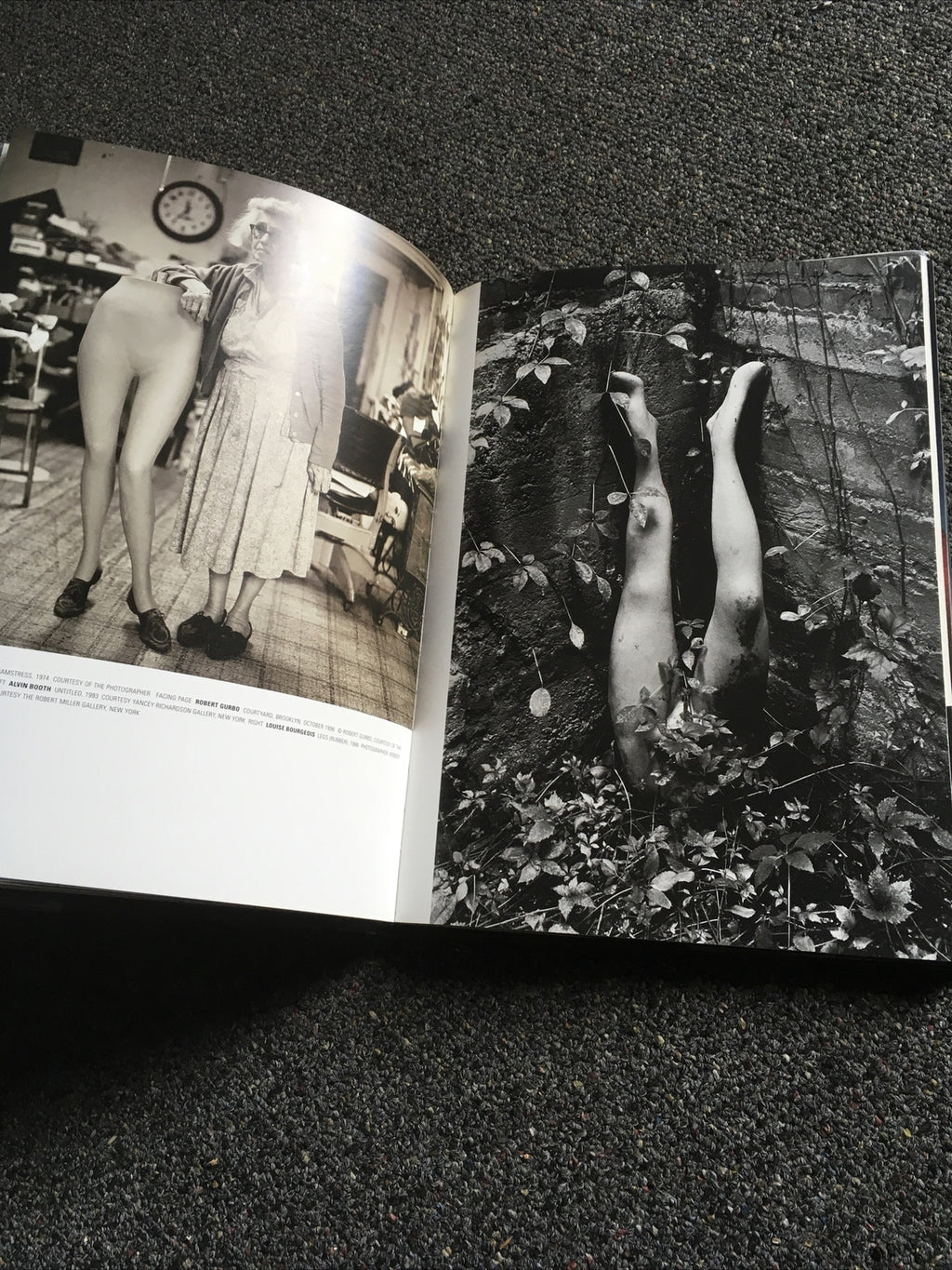 Photography / Art / Fashion Book LEG foreword by Donna Karan2
