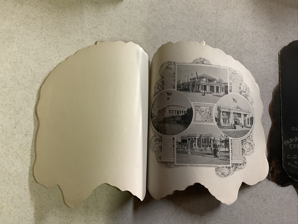 Glimpses of the Pan American Exposition by C.D. Arnold, 19018