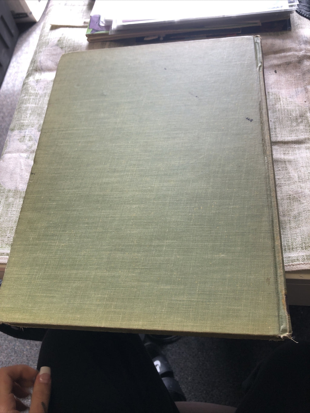 AUDUBON'S ANIMALS: The Quadrupeds of North America ed. by Alice Ford - 19519