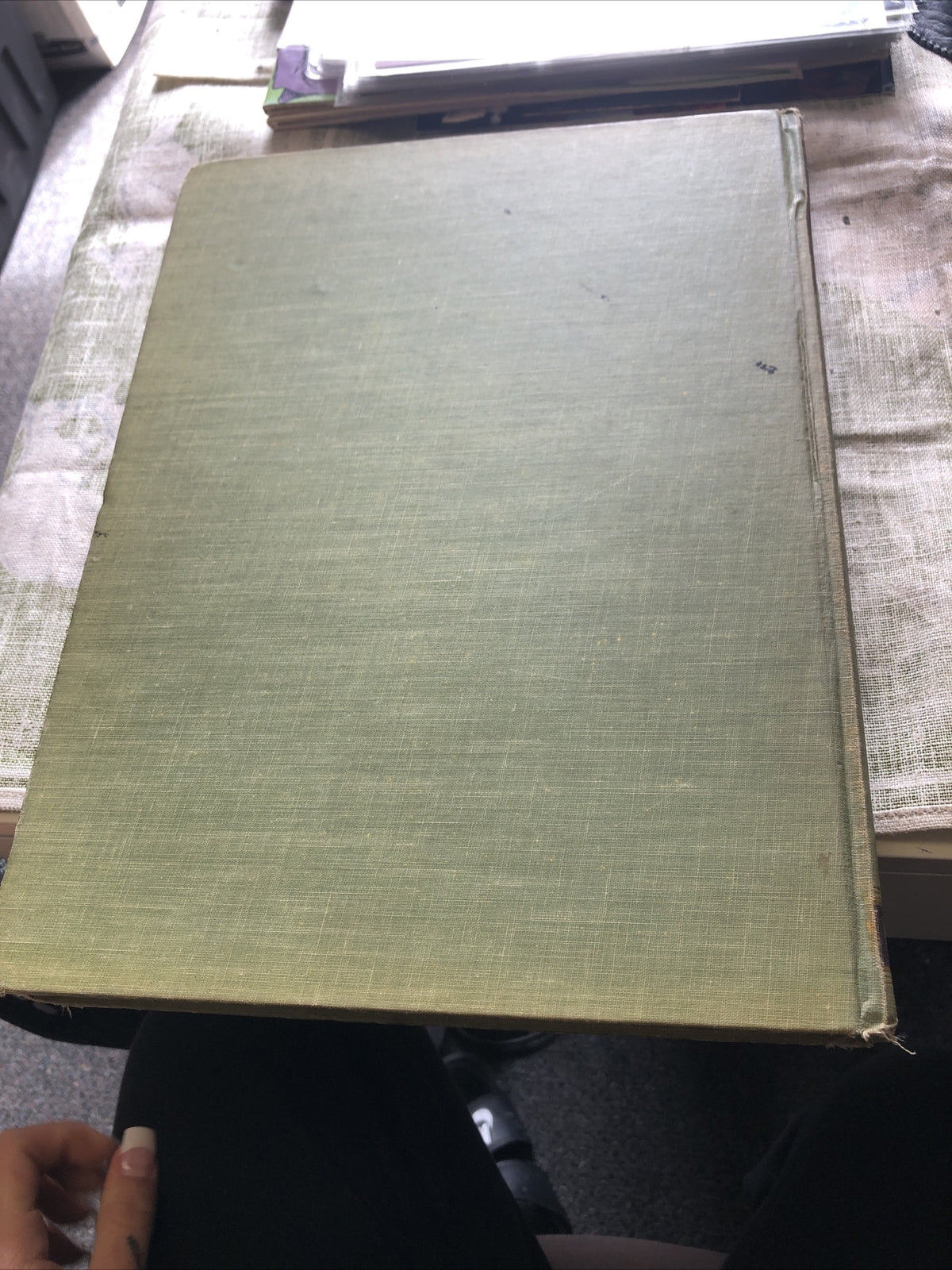 AUDUBON'S ANIMALS: The Quadrupeds of North America ed. by Alice Ford - 19519