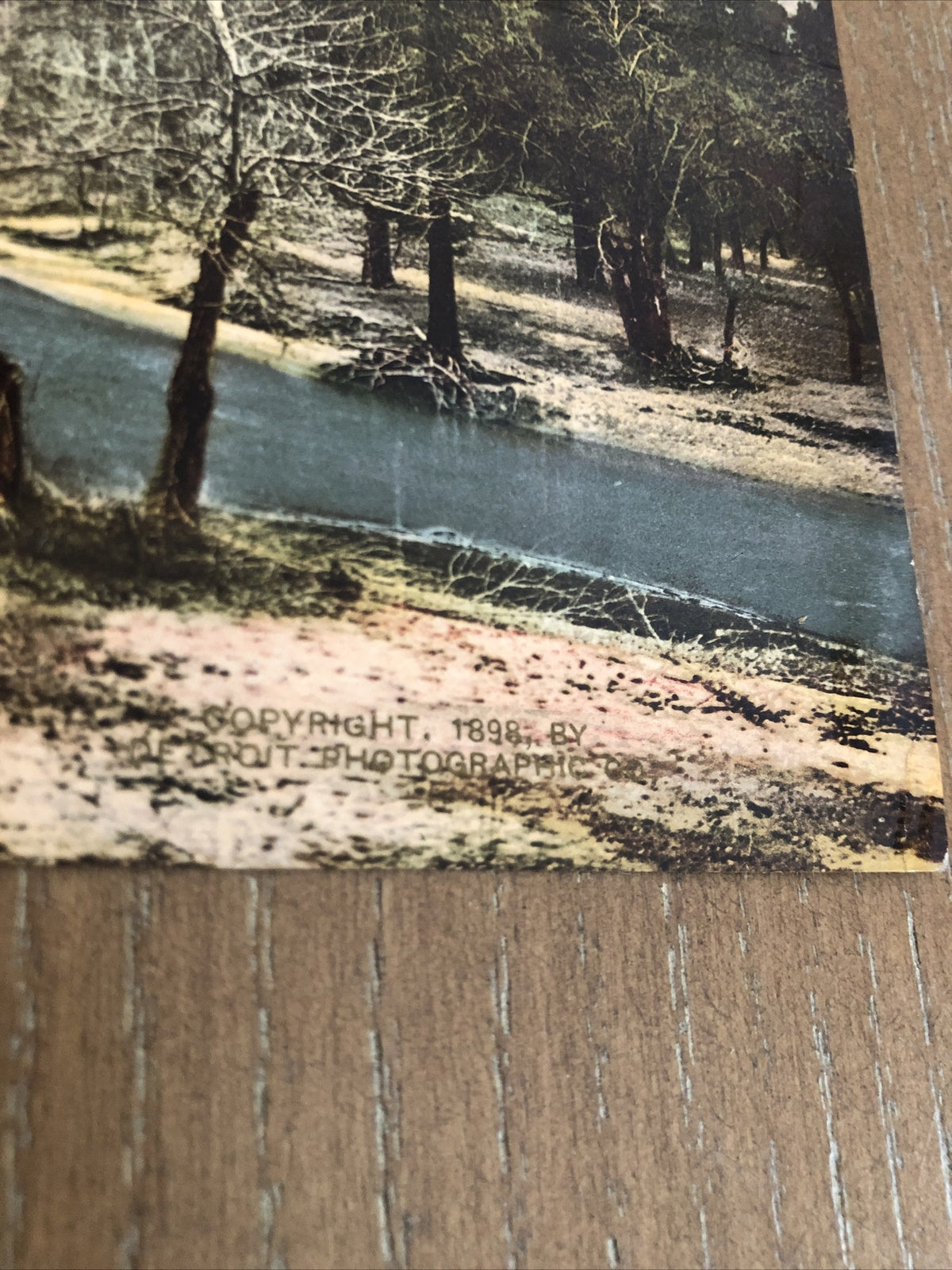SUPERB 1898 Original Photo Lot Of 2 South  Dome El Capitan YOSEMITE 7” x 9”3
