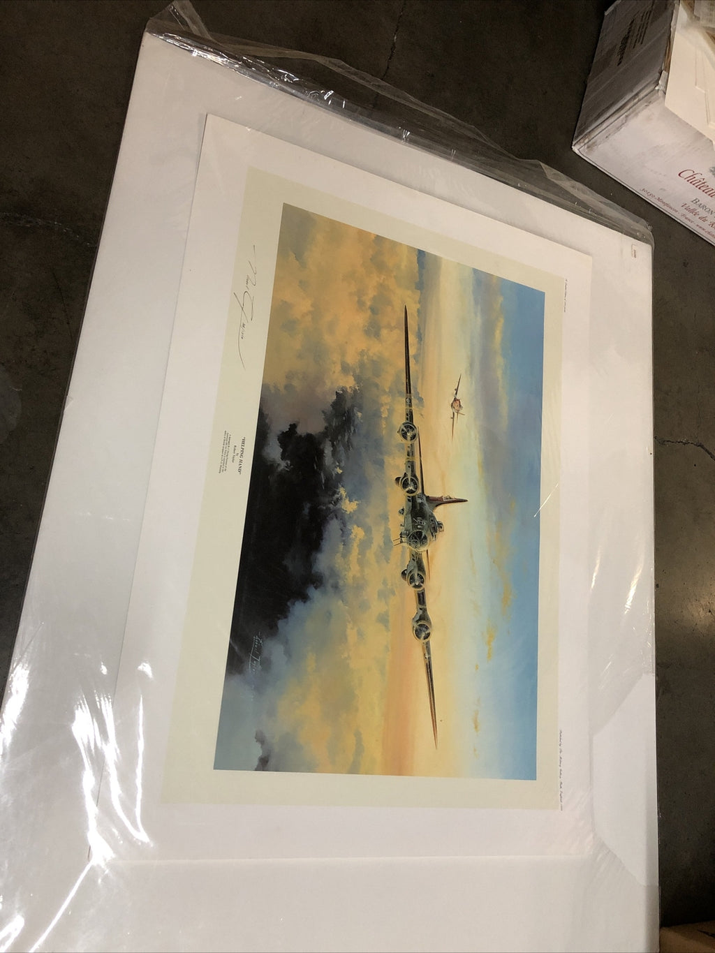 HELPING HAND by Robert Taylor - Signed And Numbered 708/1250 - 33”x23.5”0