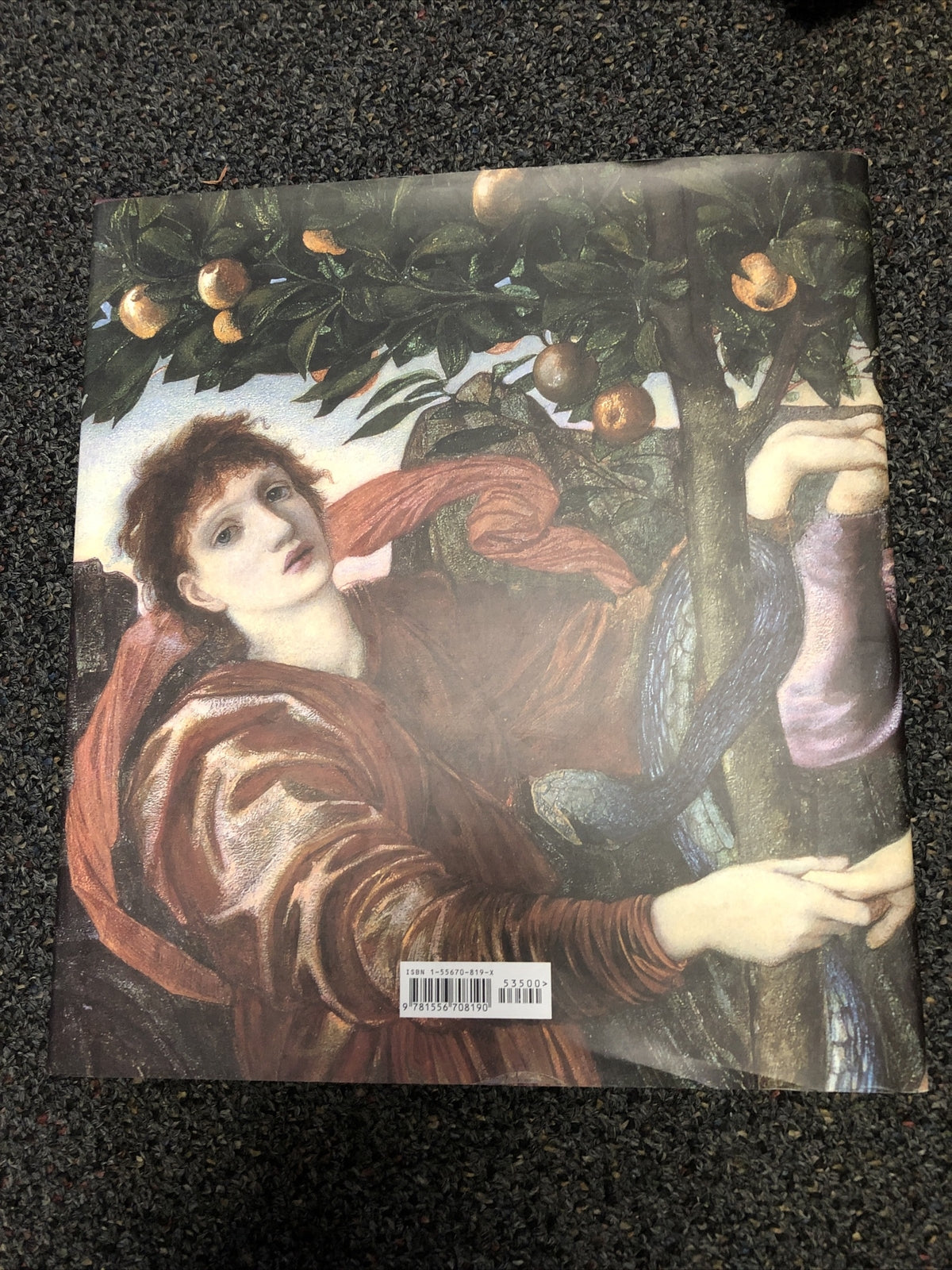 Christopher Wood / Burne-Jones The Life and Works of Sir Edward Burne-Jones 19982