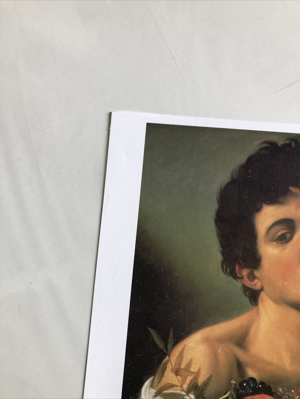 Caravaggio Ragazzo Con Canestro Di Frutta 14.5”x13.5”4