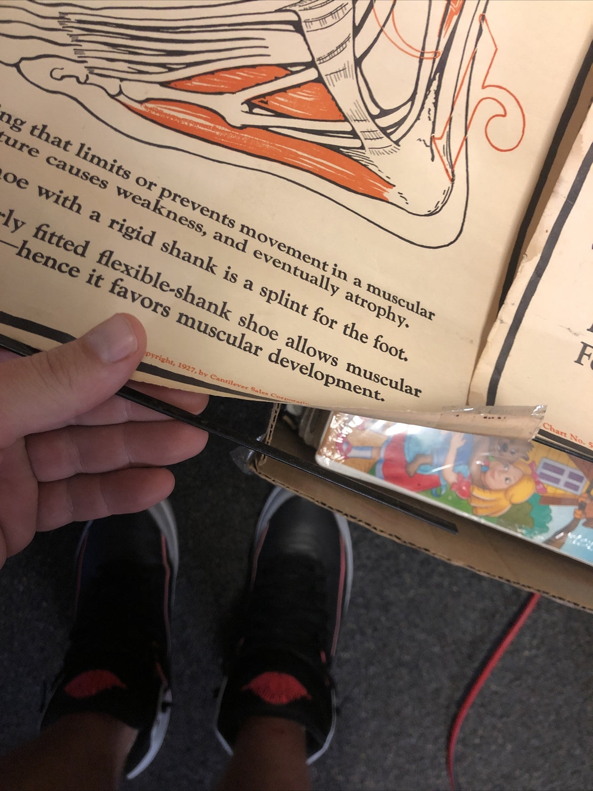 Original 1927 Foot Feet  MUSCULAR Structure ANATOMY CHART Lot Of 2 19” X 22”4