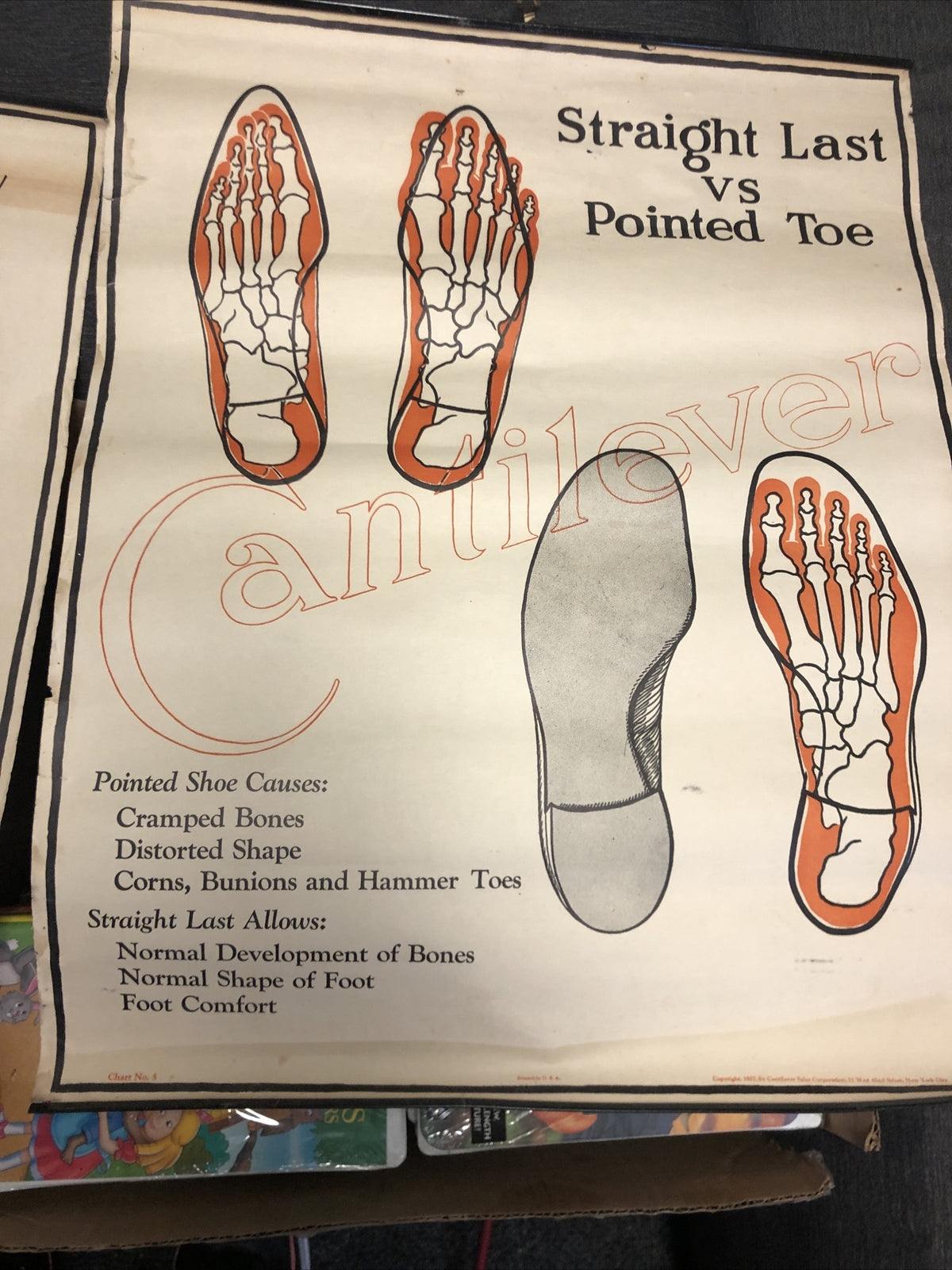 Original 1927 Foot Feet  MUSCULAR Structure ANATOMY CHART Lot Of 2 19” X 22”7