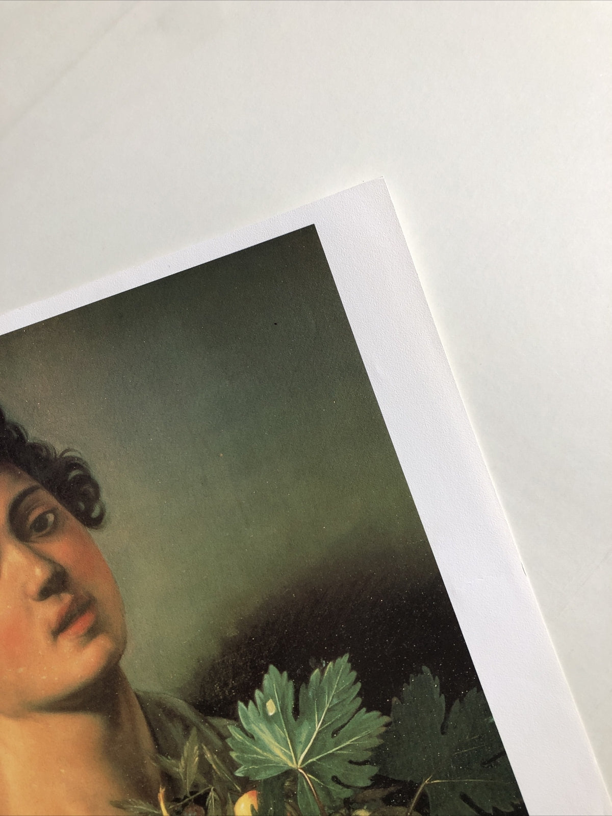 Caravaggio Ragazzo Con Canestro Di Frutta 14.5”x13.5”3