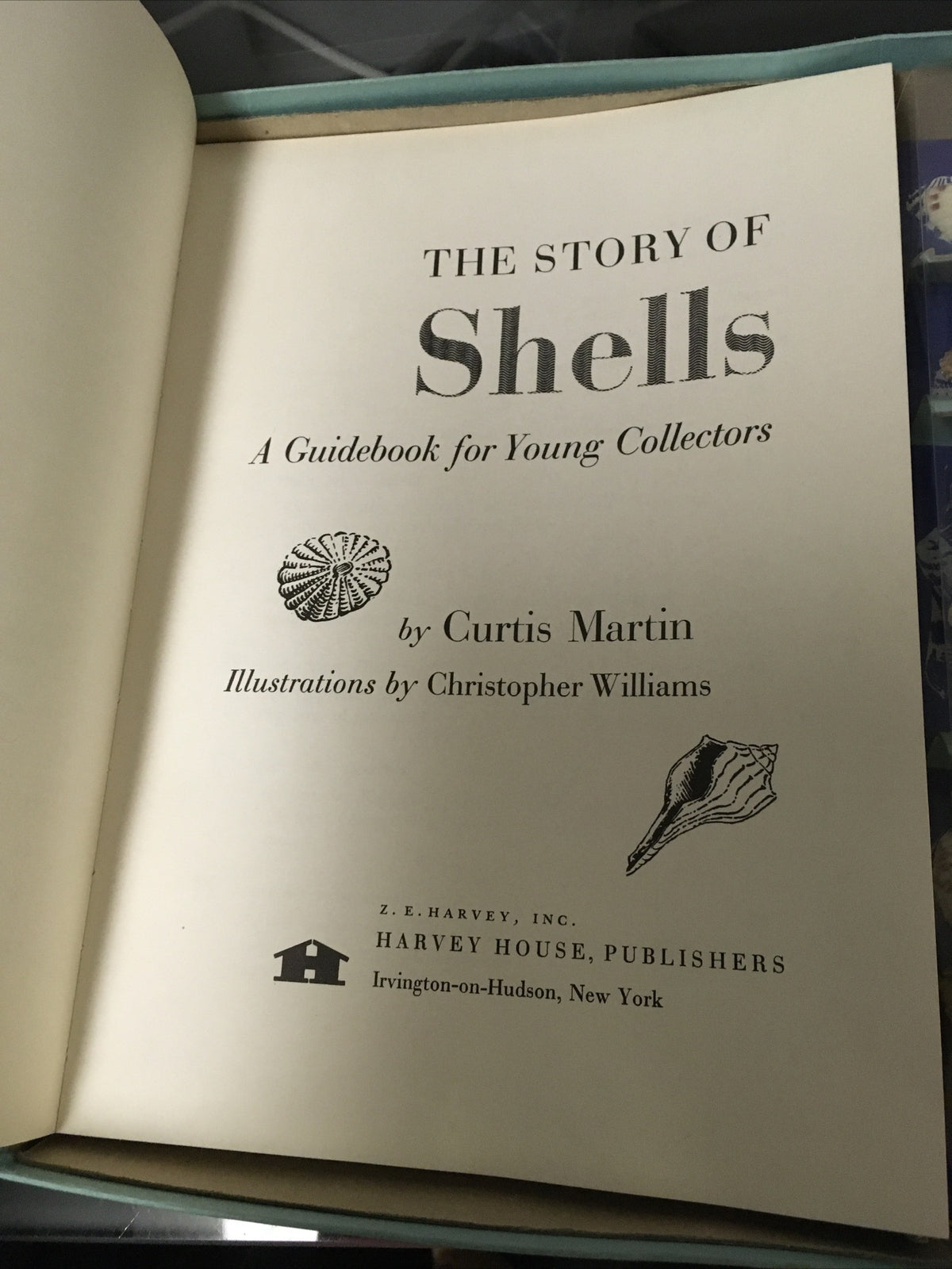 NIB Vintage 50s Complete 1956 Kit of SHELLS Harvey House w Guide Book Included5