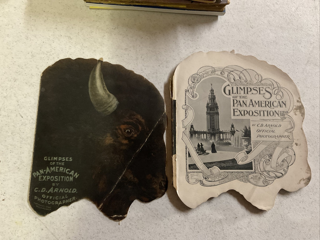 Glimpses of the Pan American Exposition by C.D. Arnold, 19011