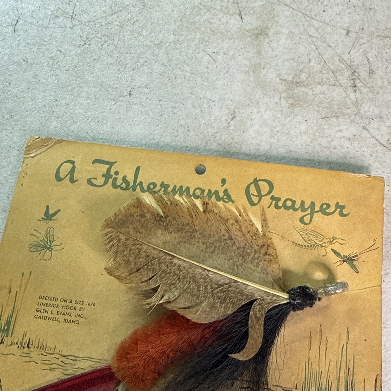 A Fishermans Prayer Bird Wing-Feather Decorative Fisherman's Fly Display4