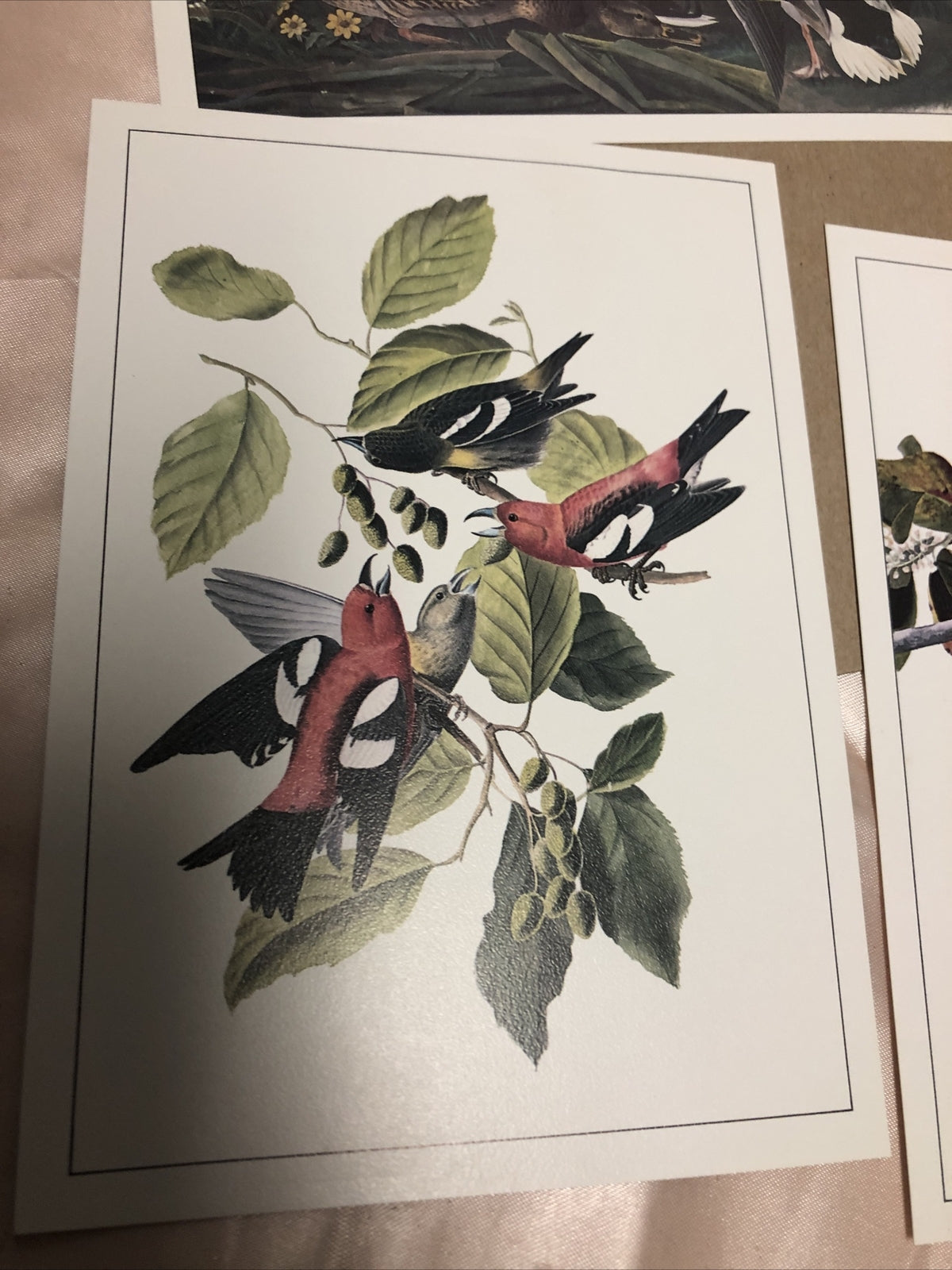 4 John James Audubon Litho Repros 5"x7" Birds & Duck Prints1