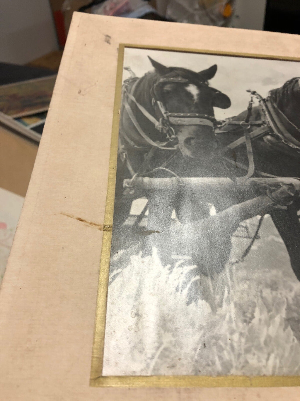 Vintage Photo Ranch Horse Found Art6
