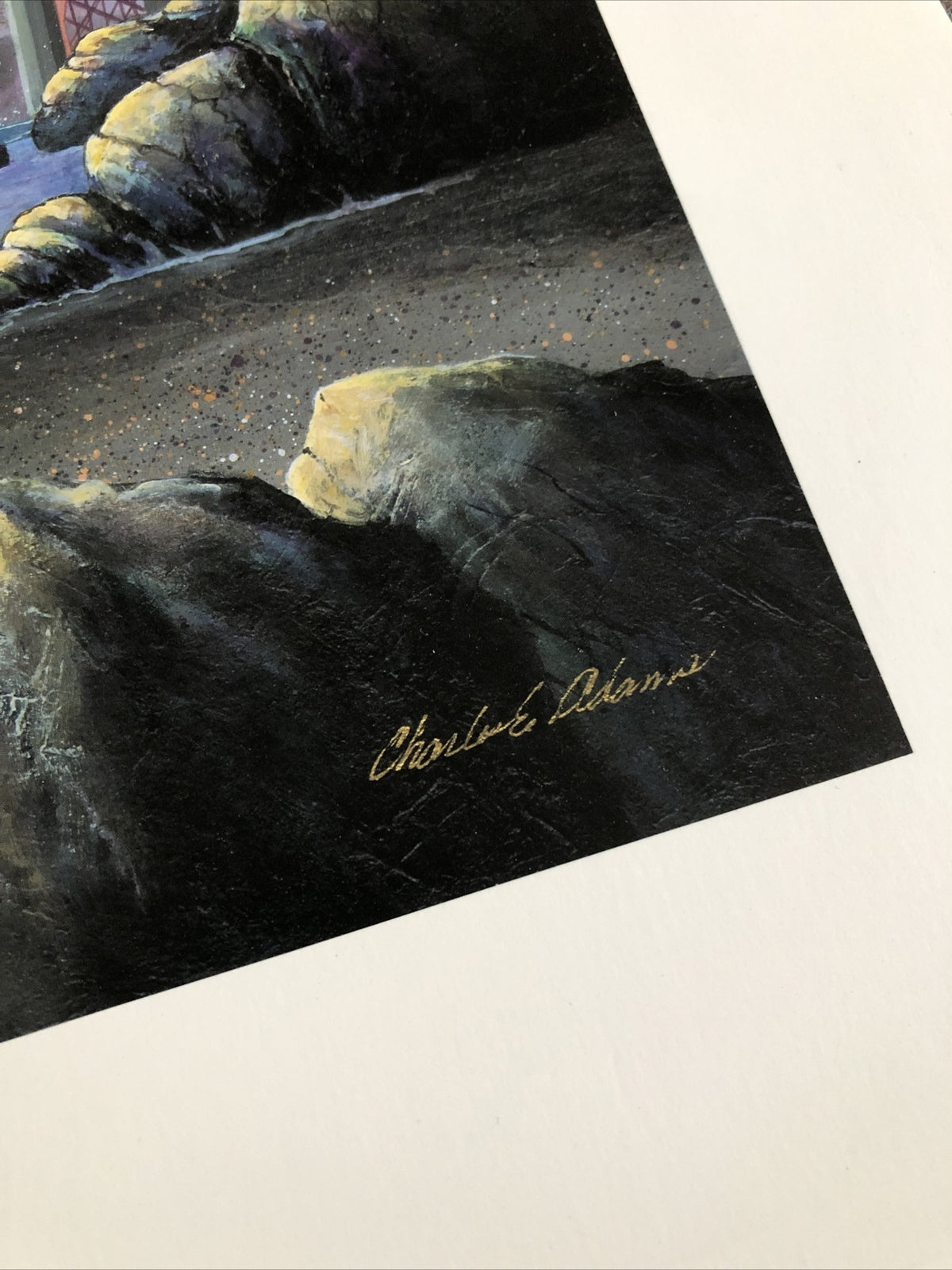 Charles Adams 1989 San Francisco 28.5”x21”2