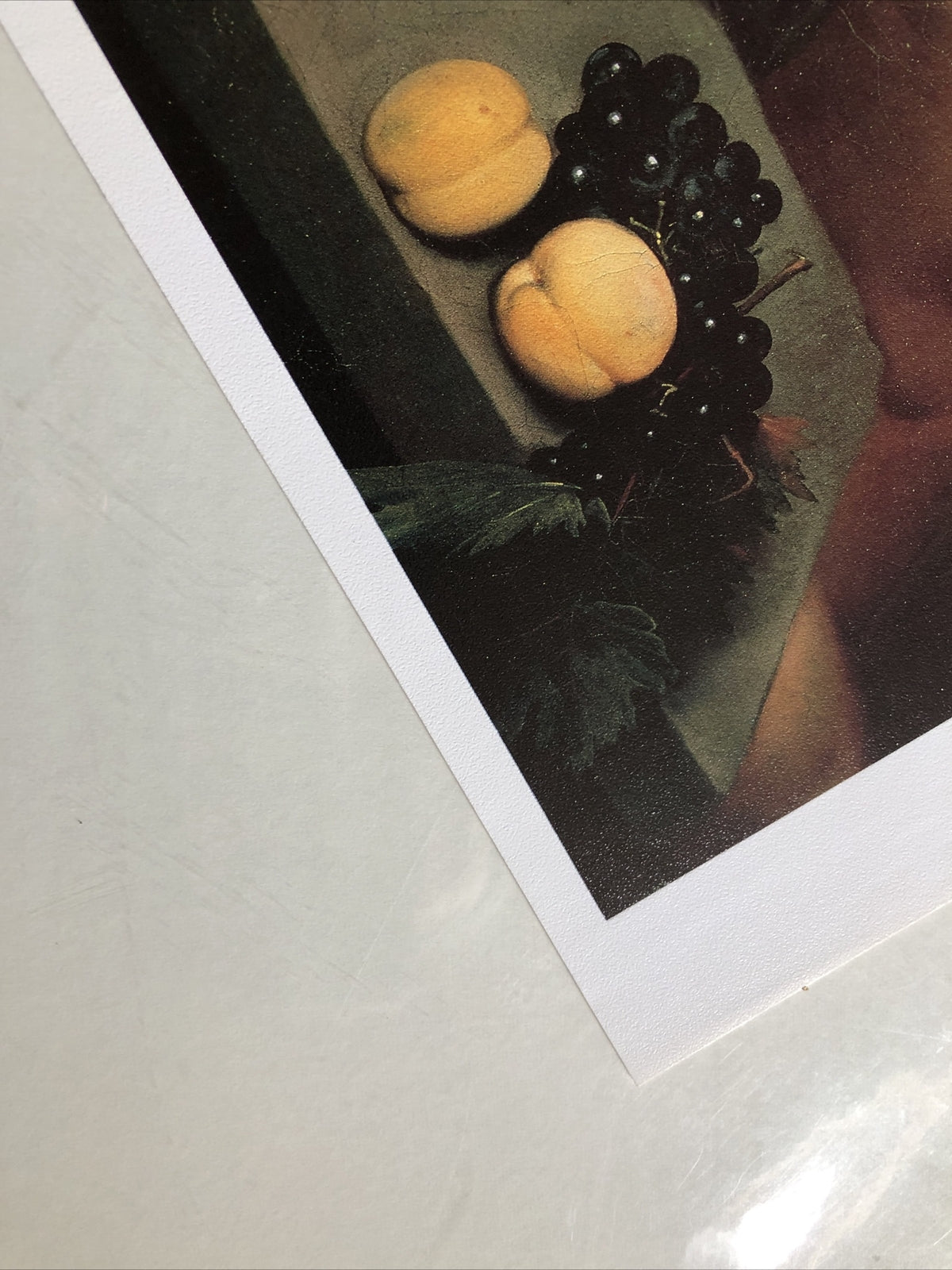 Caravaggio Bacchino Malato Print 14.5”x13.5”2